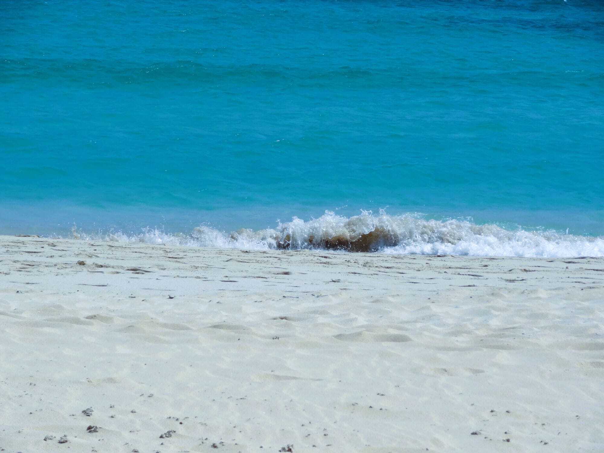 Playa De La Concha De Lobos