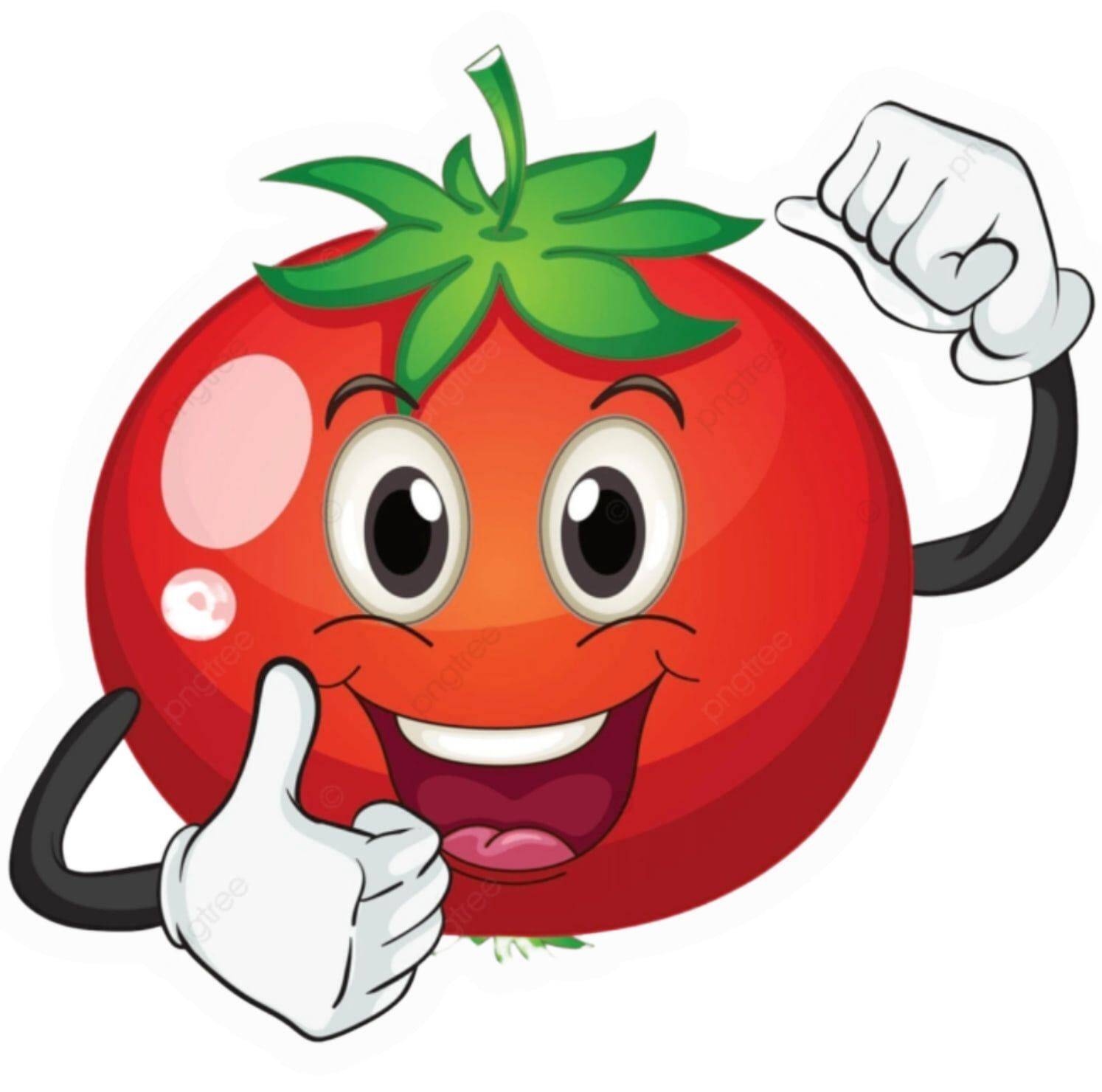 El tomate rojo