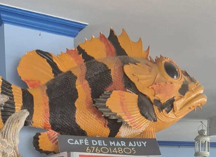 Cafe Del Mar Ajuy