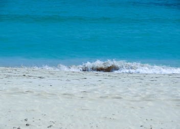 Playa De La Concha De Lobos
