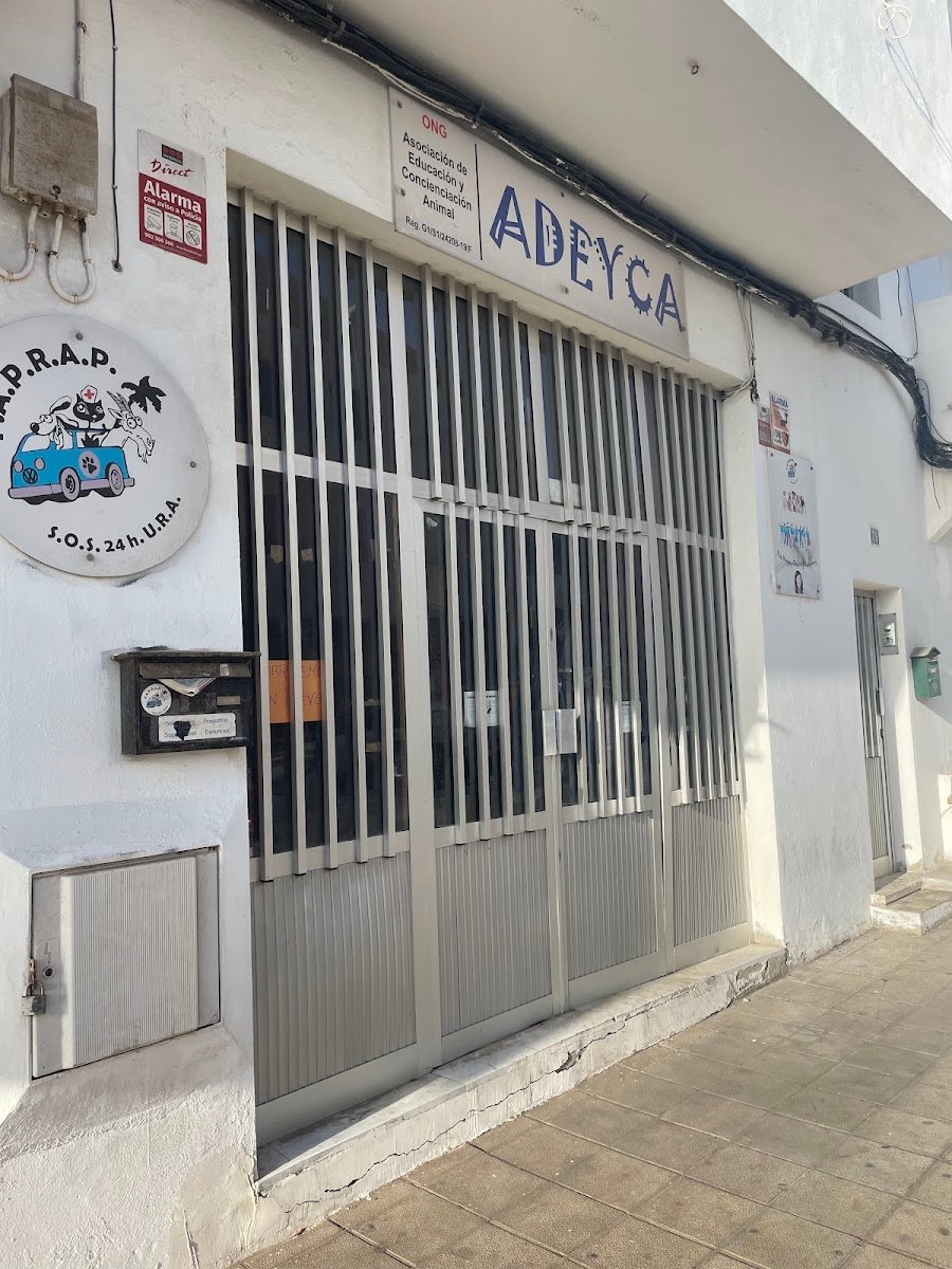 Adeyca
