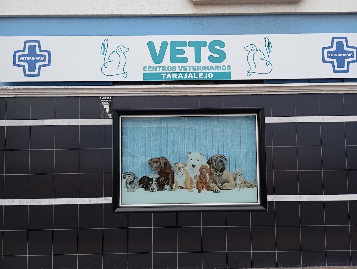 Centro Veterinario Kalamazoo