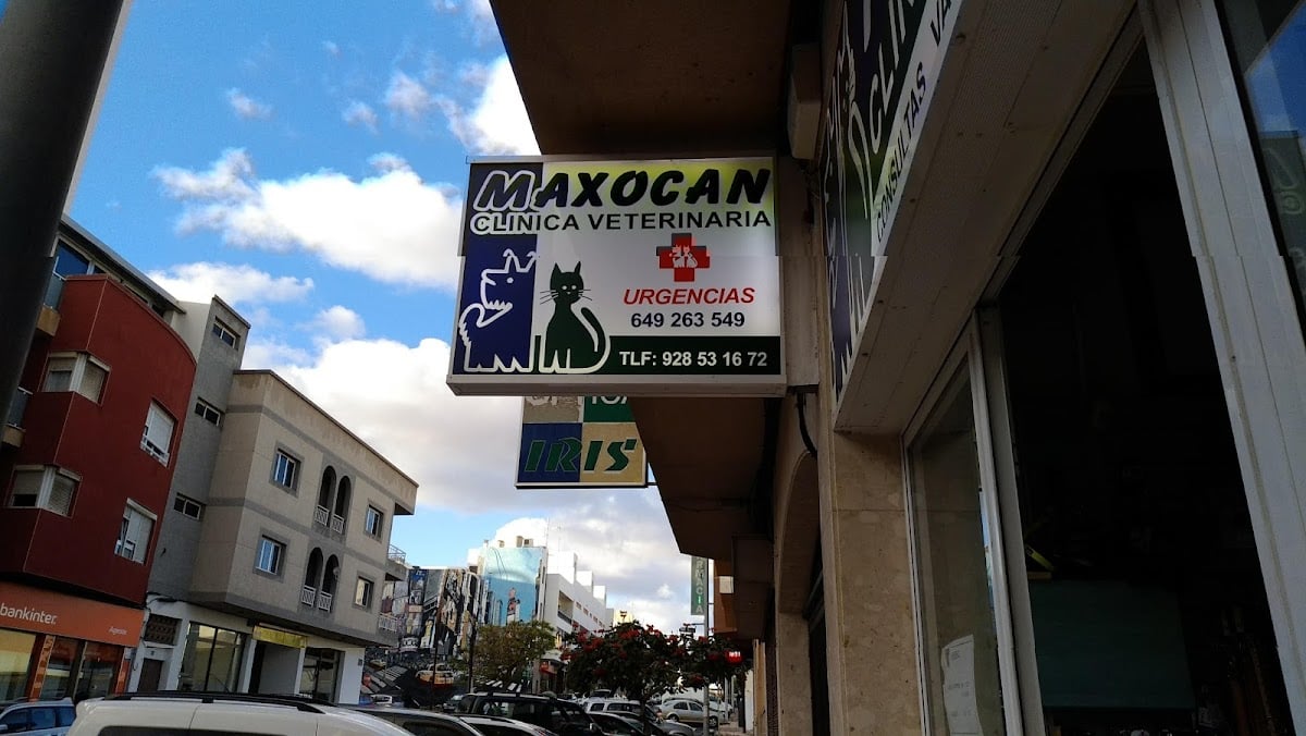 Clinica Veterinaria Maxocan