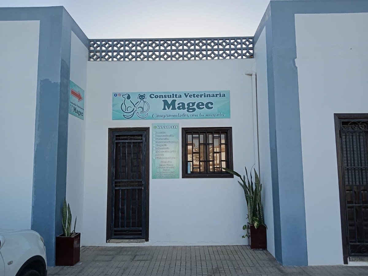 Consulta veterinaria Magec