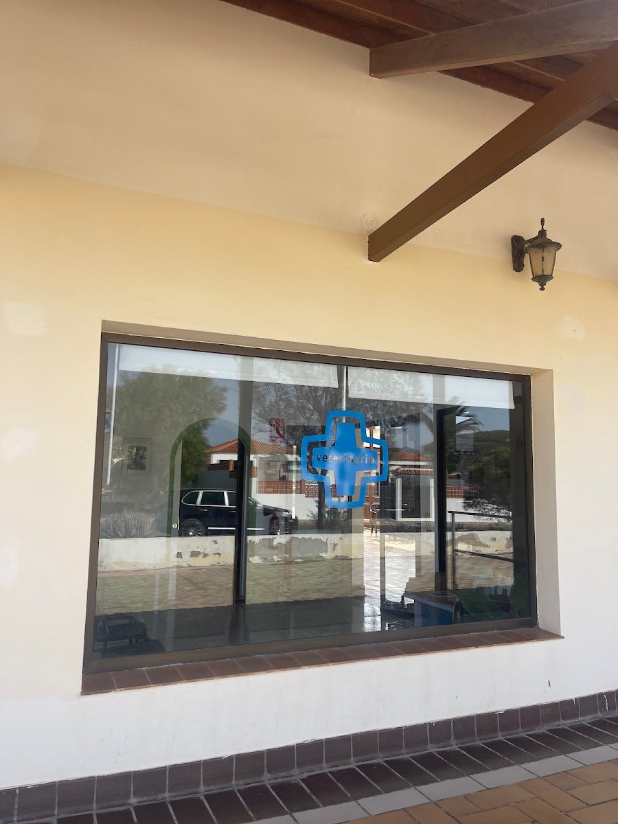 CONSULTORIO VETERINARIO PARQUE HOLANDÉS