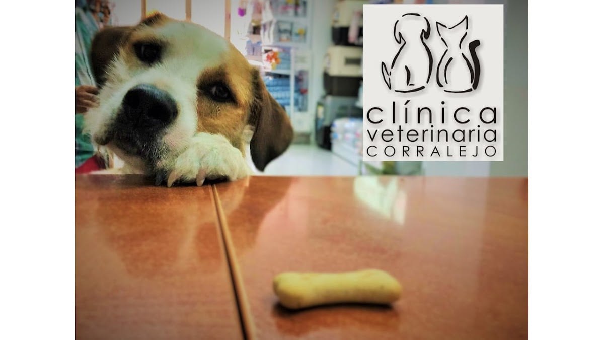 Veterinary Clinic Corralejo